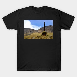 Pérou - Huaraz - Puya  Raymondii T-Shirt